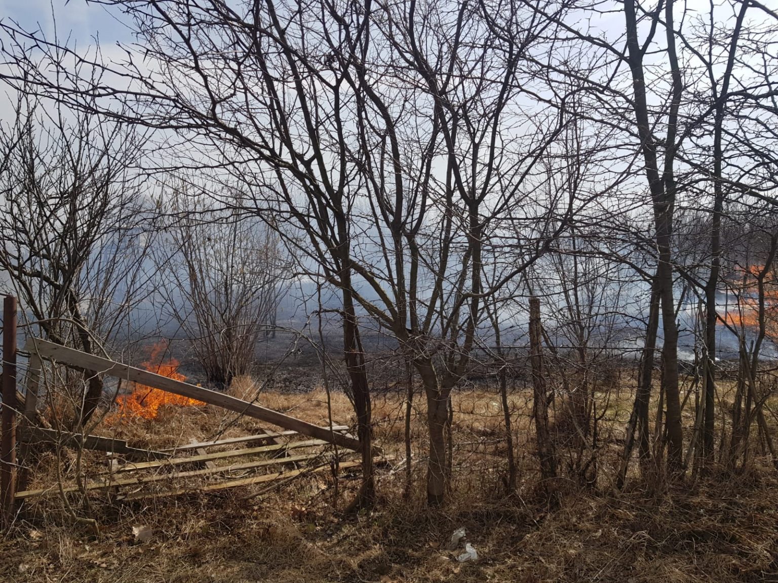 Două case din Răcari- Mavrodin, cuprinse de flăcări după ce au dat foc vegetaţiei uscate