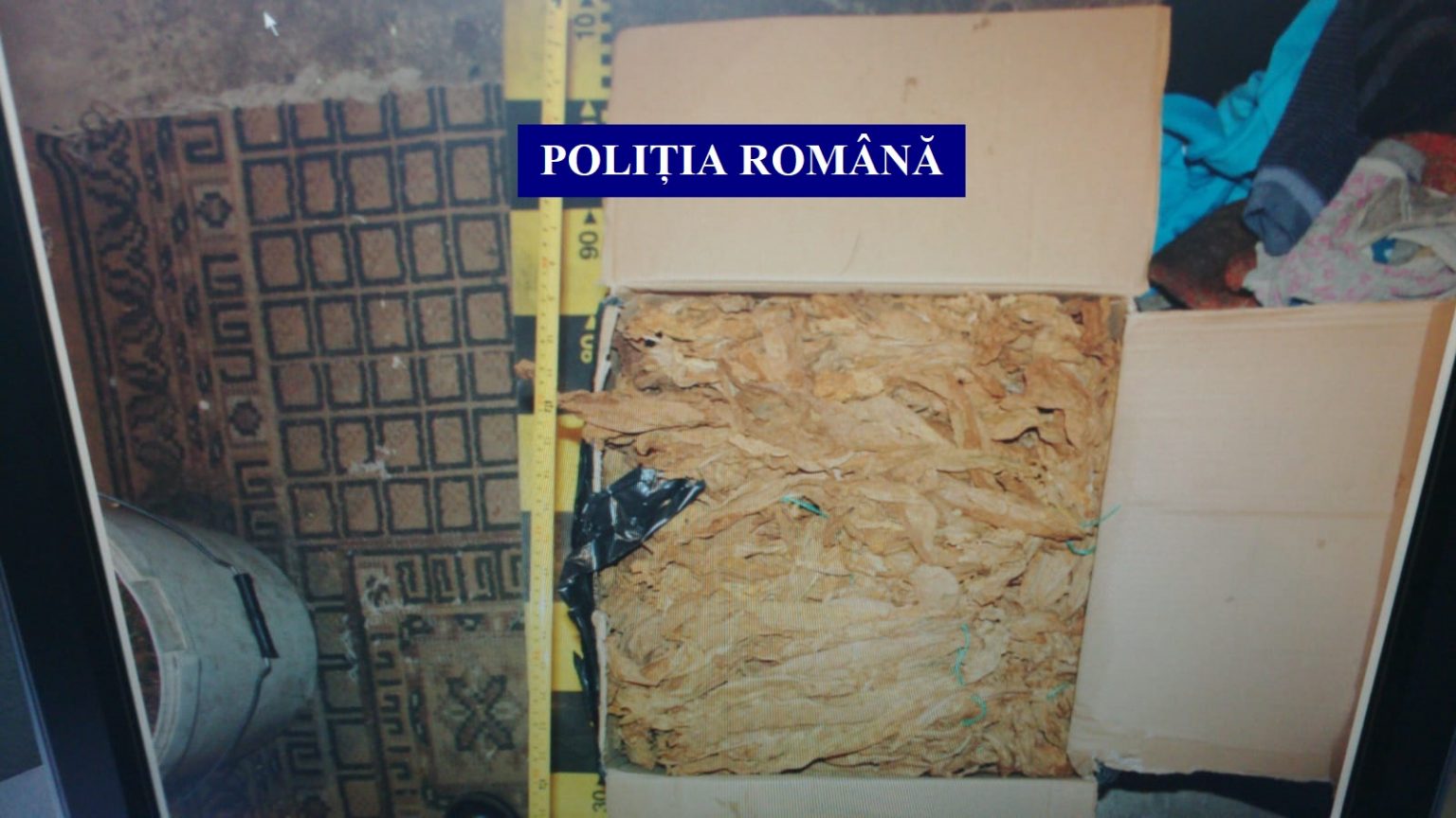 PERCHEZIȚII ÎN DÂMBOVIŢA DAR ŞI ÎN ALTE 24 DE JUDEŢE DIN ŢARĂ,   LA PERSOANE BĂNUITE DE OPERAȚIUNI ILICITE CU TUTUN