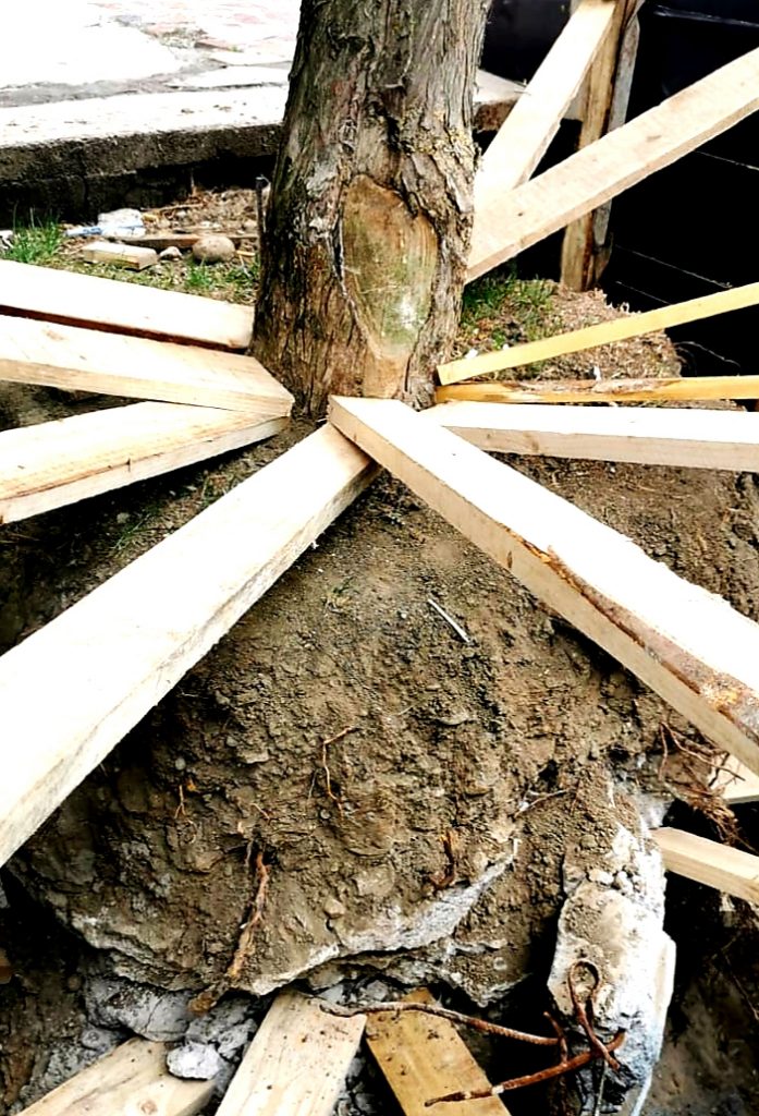 SITUAȚIA INTEVENȚIEI DIN PIAȚA REVOLUȚIEI