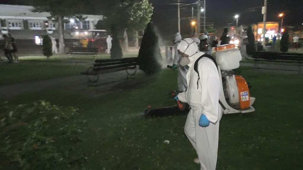 dezinsecție