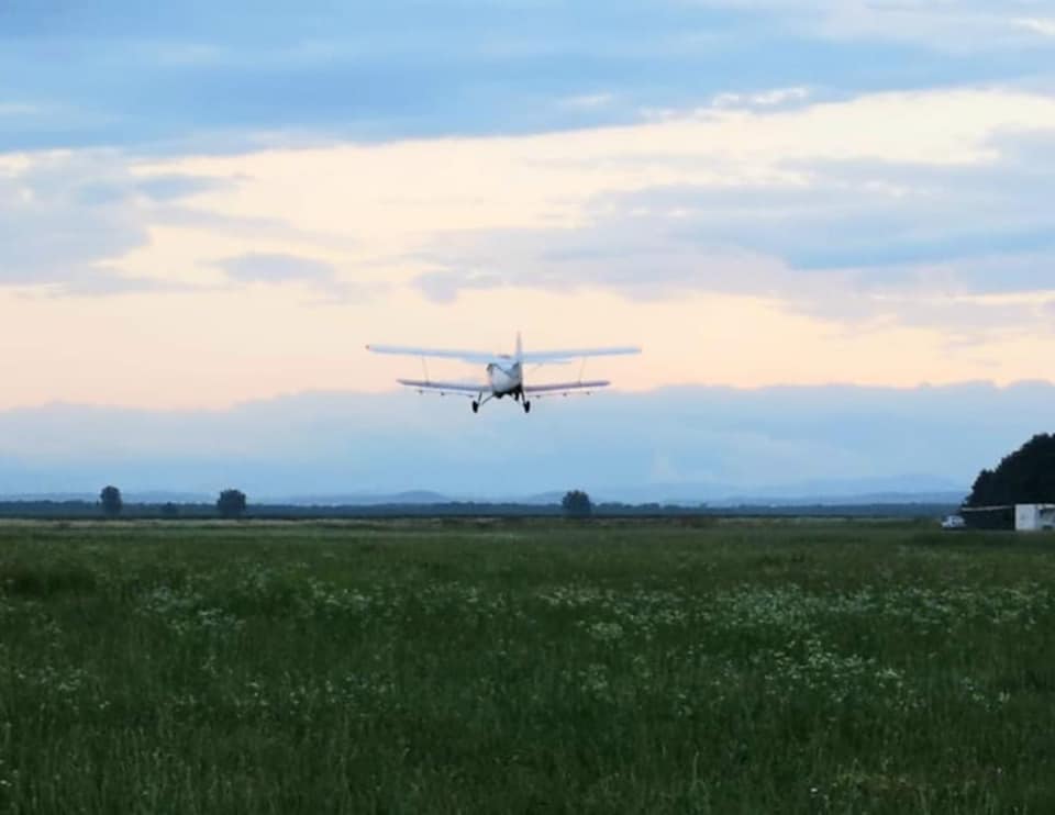 Acțiune de dezinsecție aeriană în comuna Corbii Mari