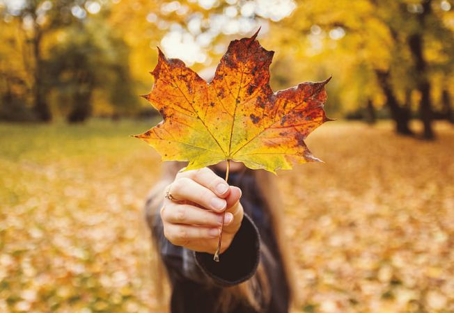 Începutul lui septembrie cu vreme răcoroasă