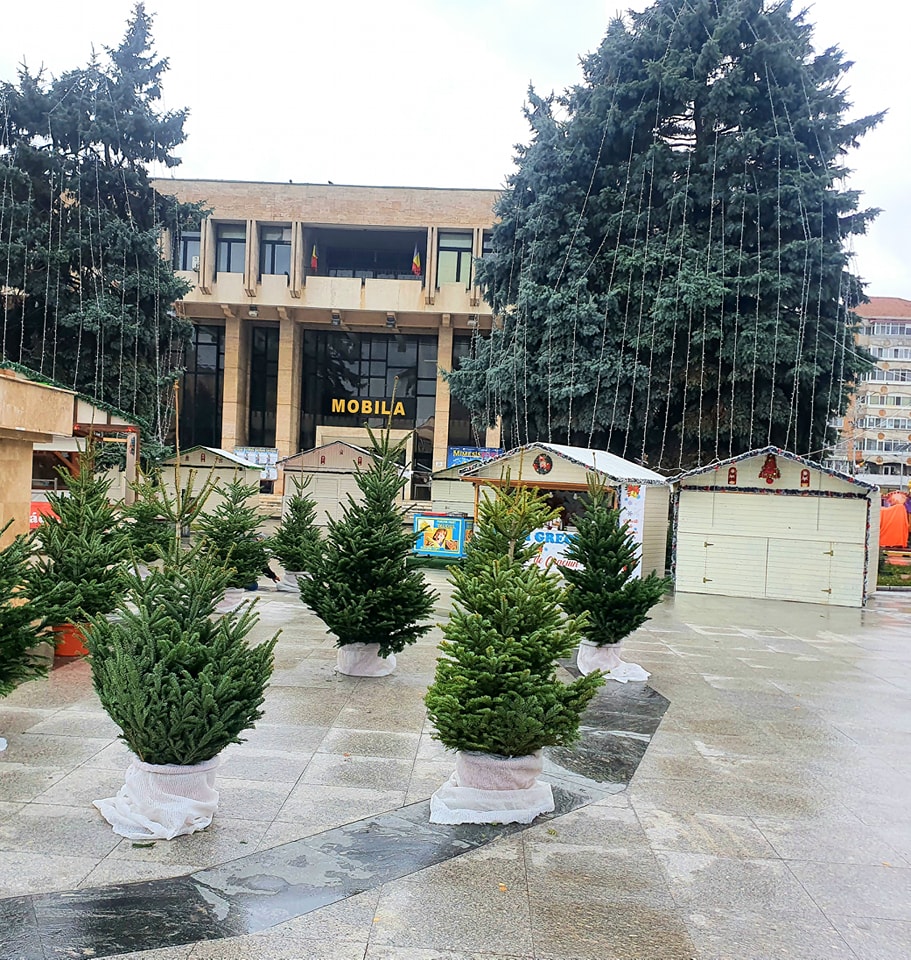 Din seara de 1 Decembrie, străzile municipiului Târgoviște, îmbrăcate într-o mare de beculețe colorate
