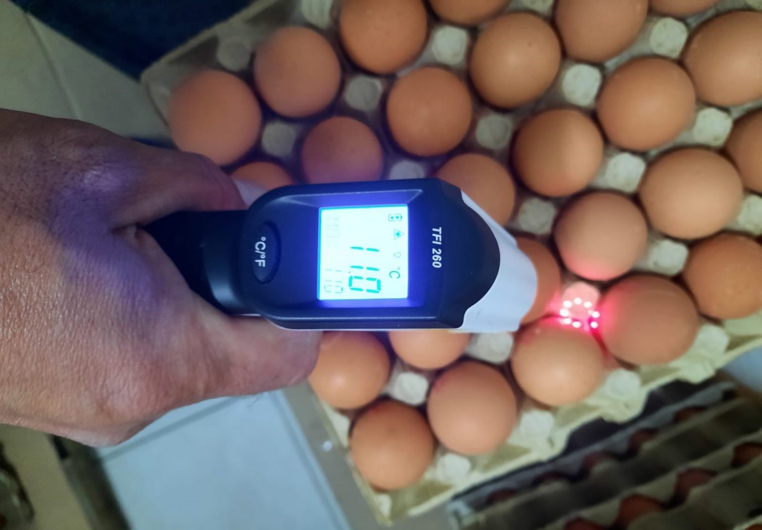 ANPC a controlat modul în care se comercializează ouăle