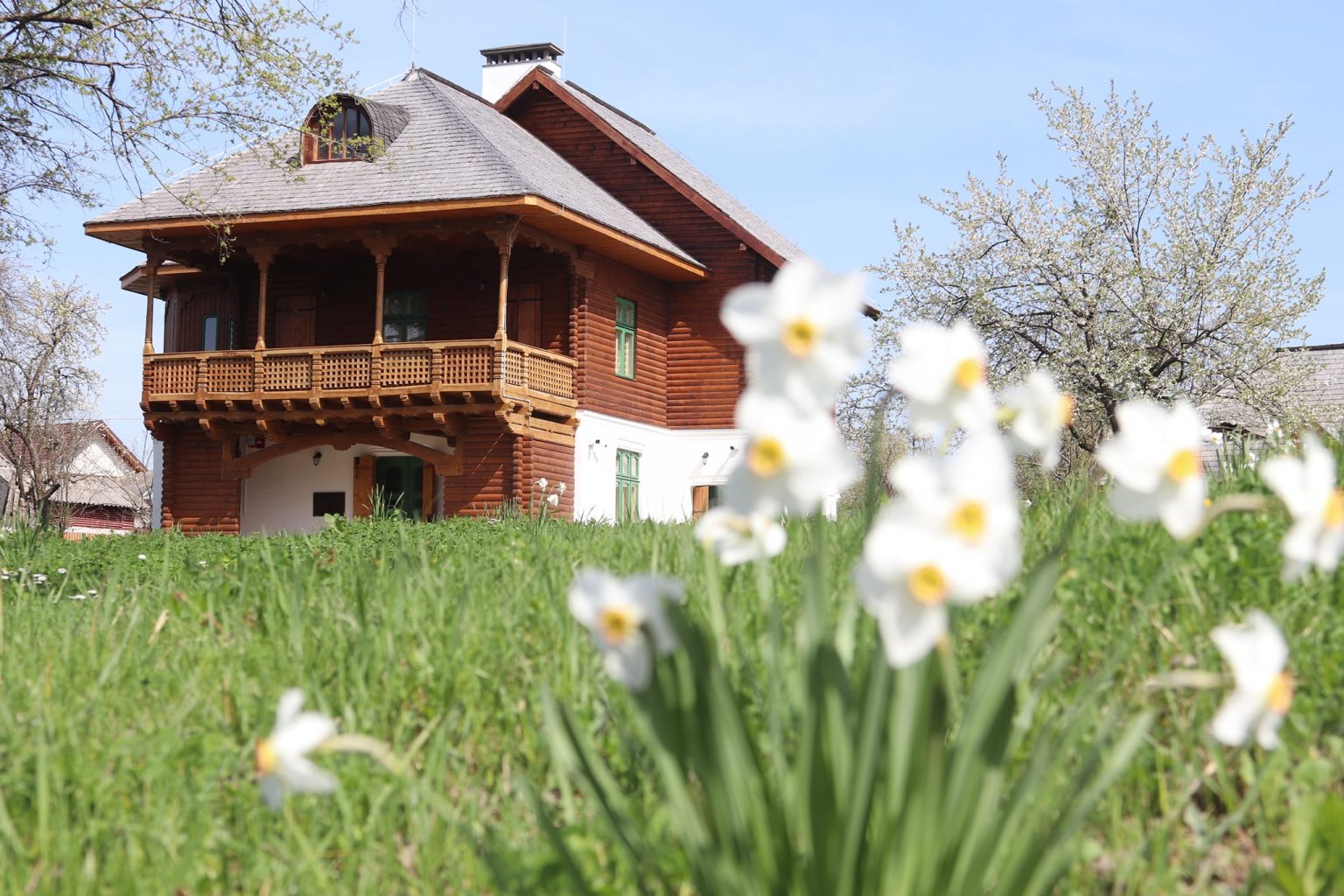50 de ani de la deschiderea Muzeului „Casa Atelier Gabriel Popescu”
