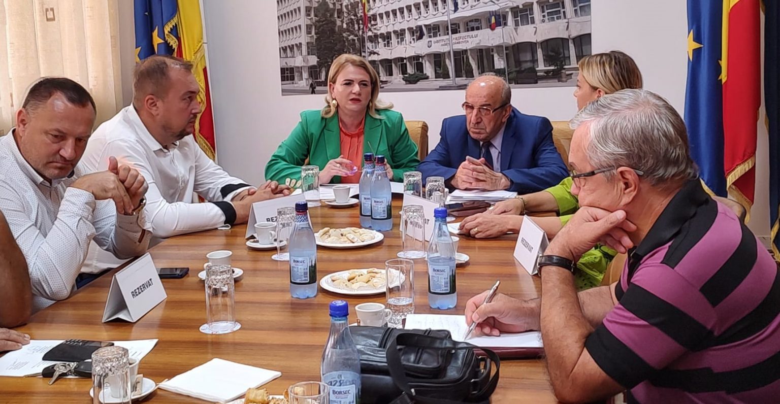 Promovare și protecția drepturilor persoanelor cu dizabilități