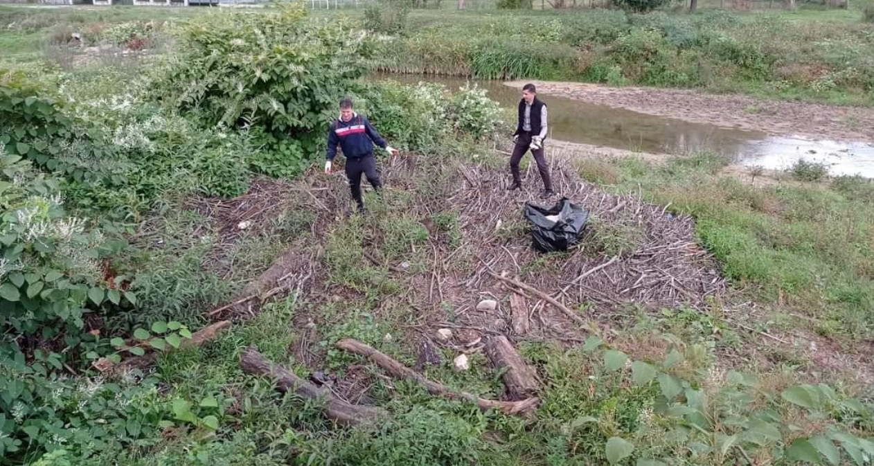 Primăria comunei Vulcana Pandele s-a alăturat Zilei Curățeniei Naționale
