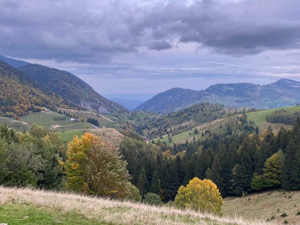 Prognoza pentru zilele următoare, nopți reci cu brumă dar și temperaturi de 38 de grade Celsius