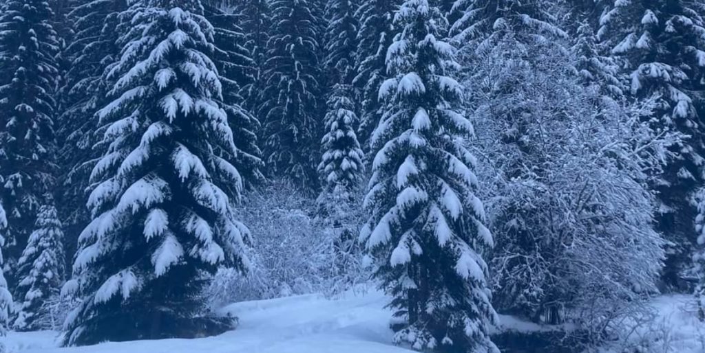 Vom avea zăpadă, începând de joi seară, 26 ianuarie, vor fi ninsori însemnate cantitativ