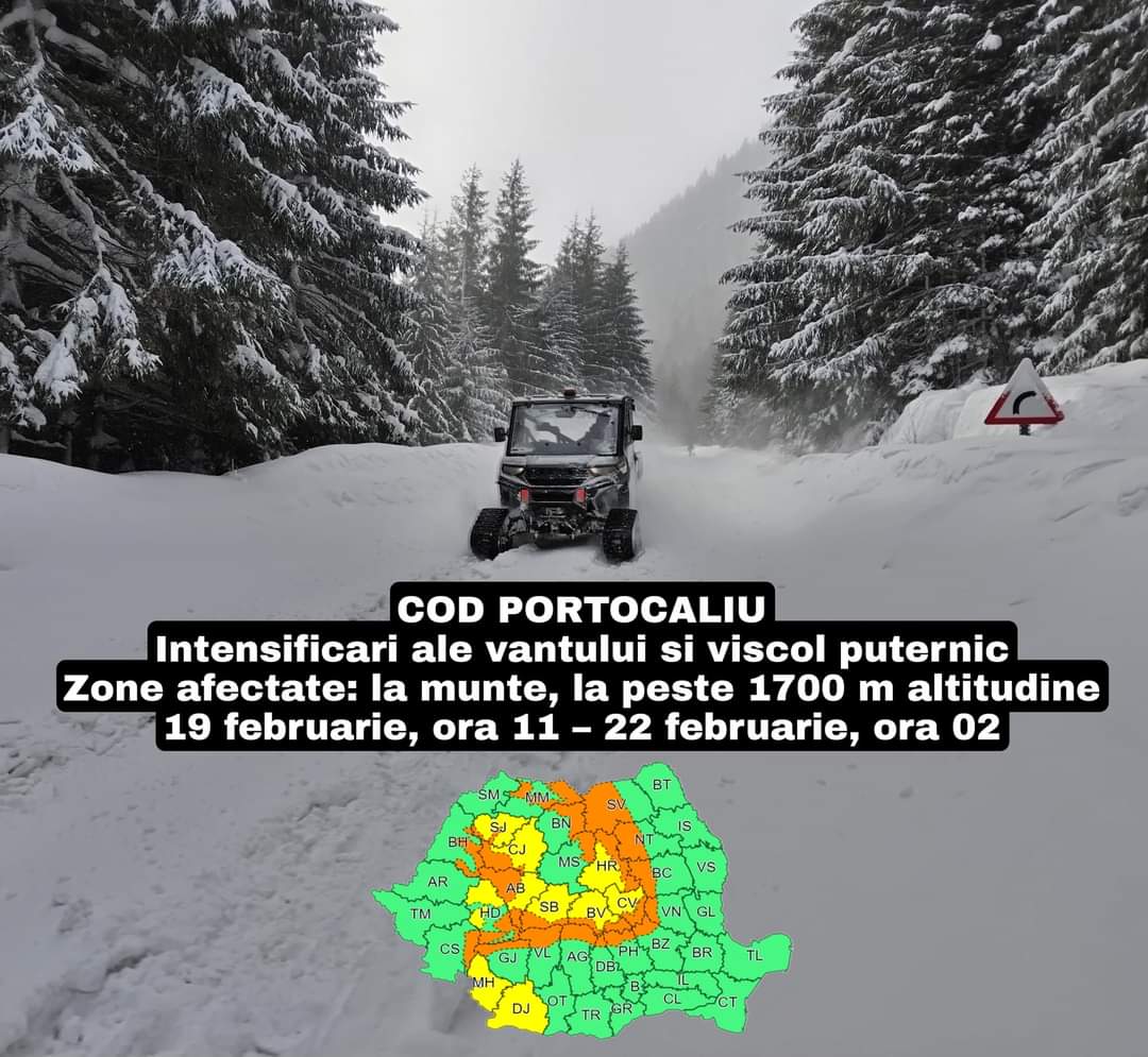 COD PORTOCALIU de VÂNT PUTERNIC și VISCOL