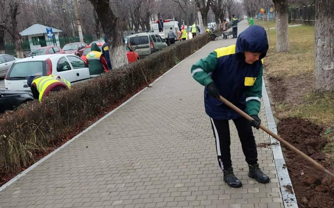 Se lucrează la amenajarea spațiilor verzi, ultima etapă din amplu proces de modernizare ce a vizat Bulevardul Regele Carol I