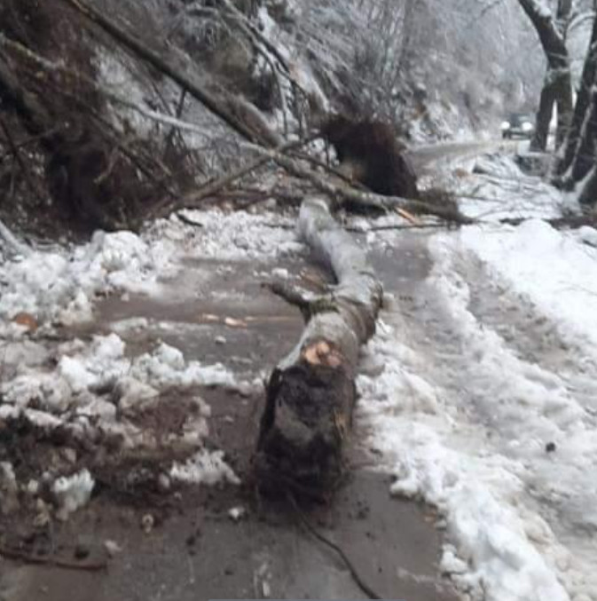 Natura s-a dezlănțuit în unele zone din țară, ninsori abundente, inundații, copaci doborâți