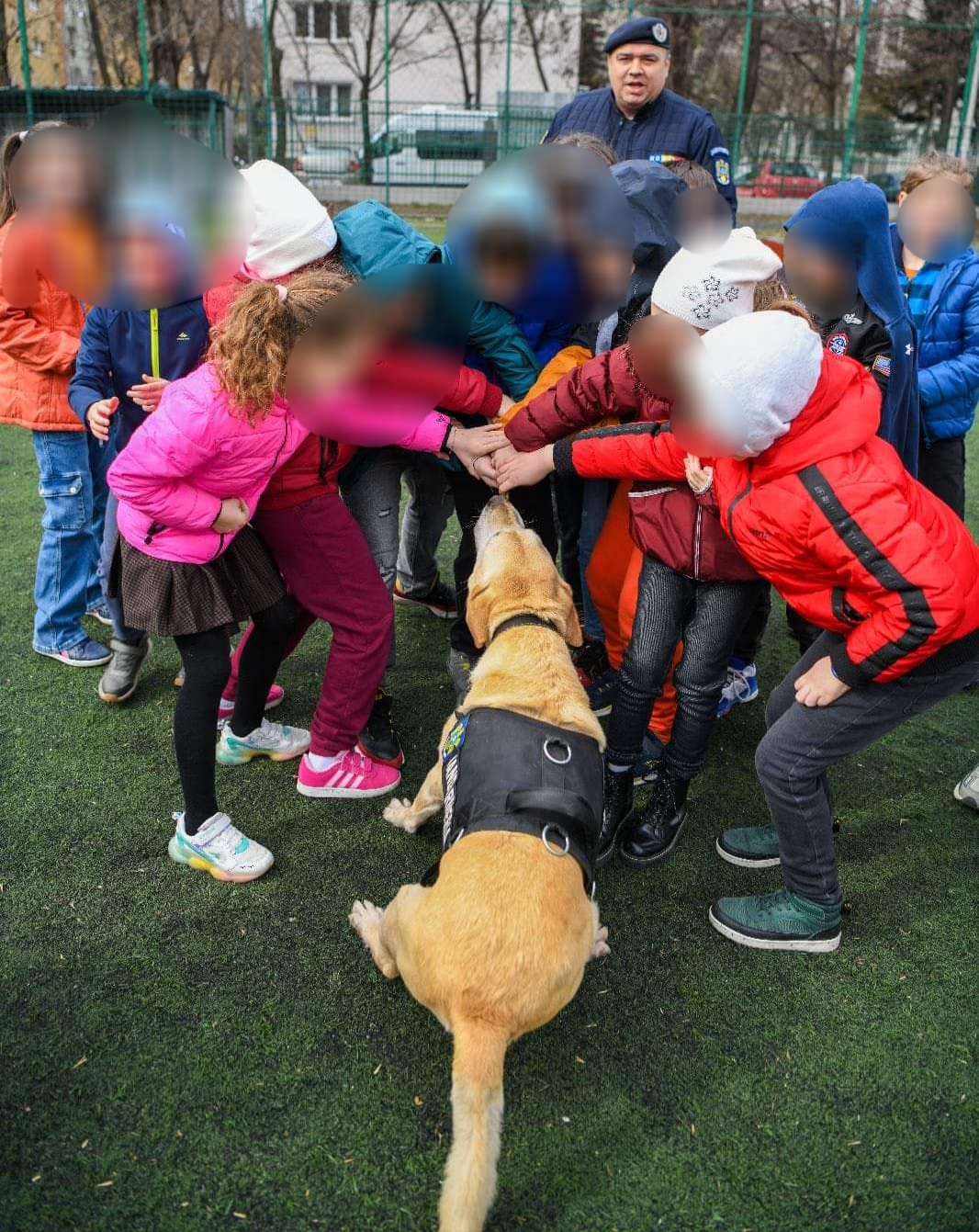 Câinii și caii Jandarmeriei, marea atracție în cadrul Programului "Școala Altfel"