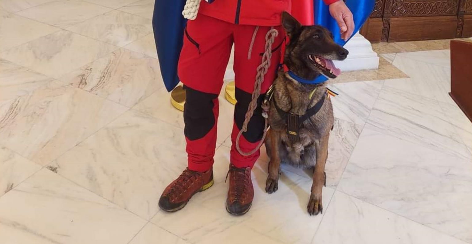 Cristi si Vreni au fost decorați cu „Serviciu Credincios” în rang de cavaler, pentru misiunea din Hatay-Turcia