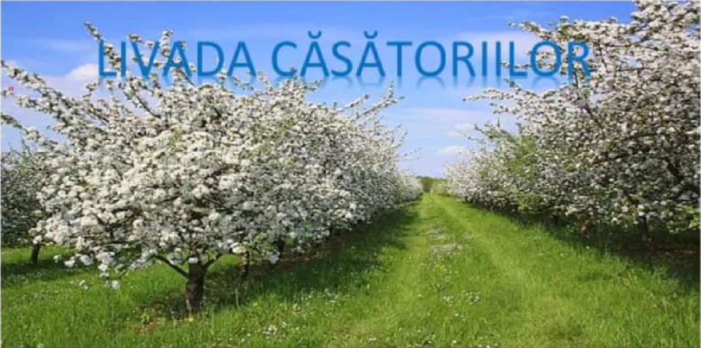 Administrația de la Moroeni a finalizat o nouă investiție