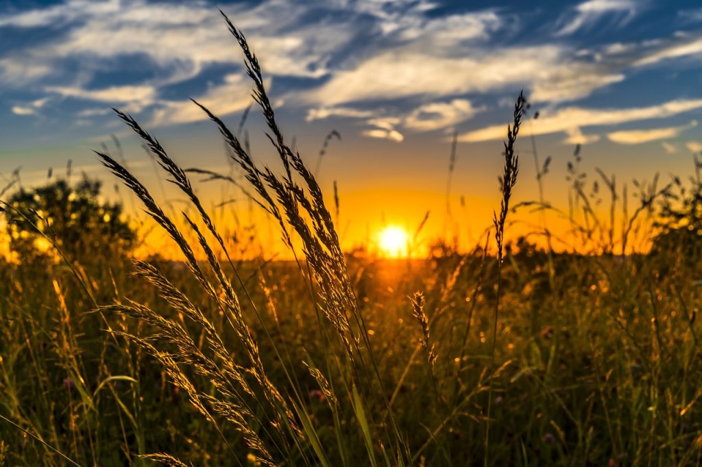 21 iunie, Solstițiu de vară, prima zi de vară astronomică,