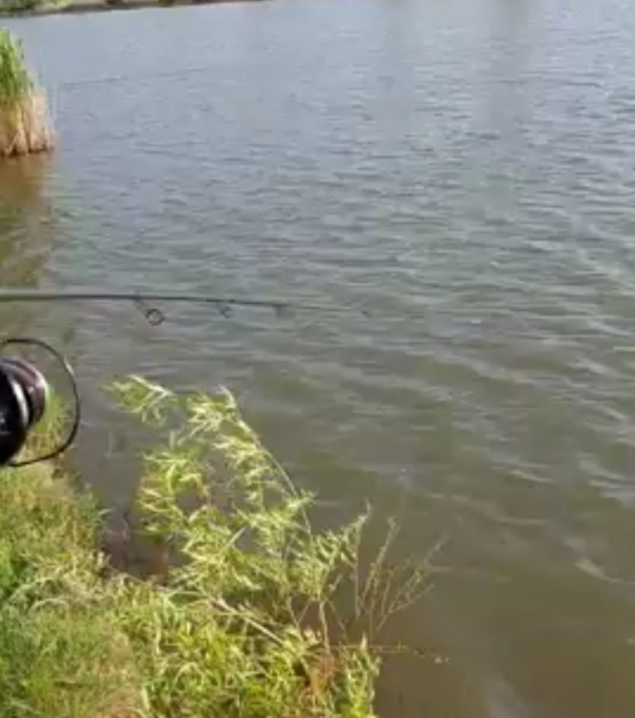 O clipă de neatenție l-a costat viața, un bărbat de 30 de ani, în timp ce s-ar fi aflat la pescuit pe un lac, s-a înecat