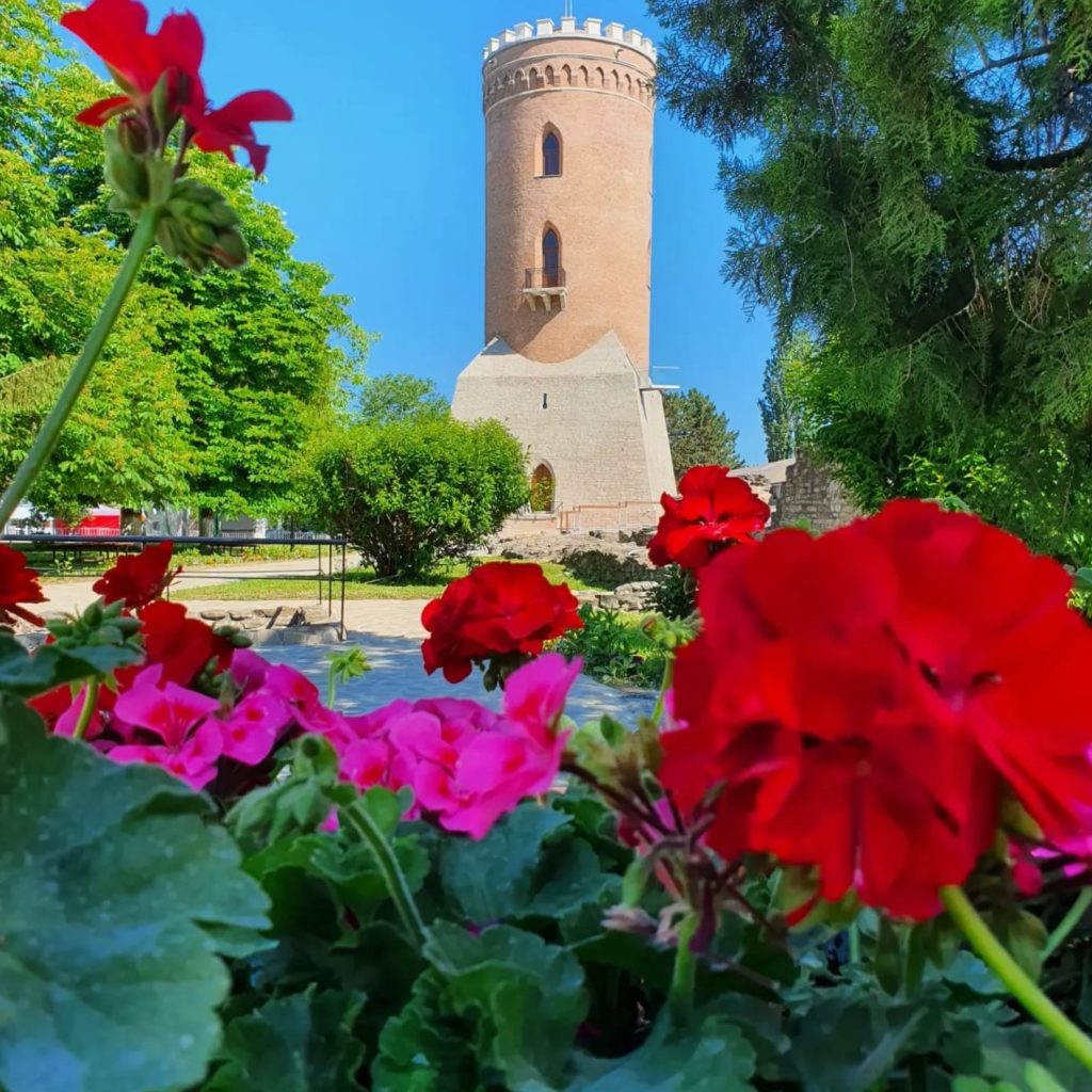 Program special la muzeele Complexului Național Muzeal „Curtea Domnească” Târgoviște, în minivacanța de Sfânta Maria