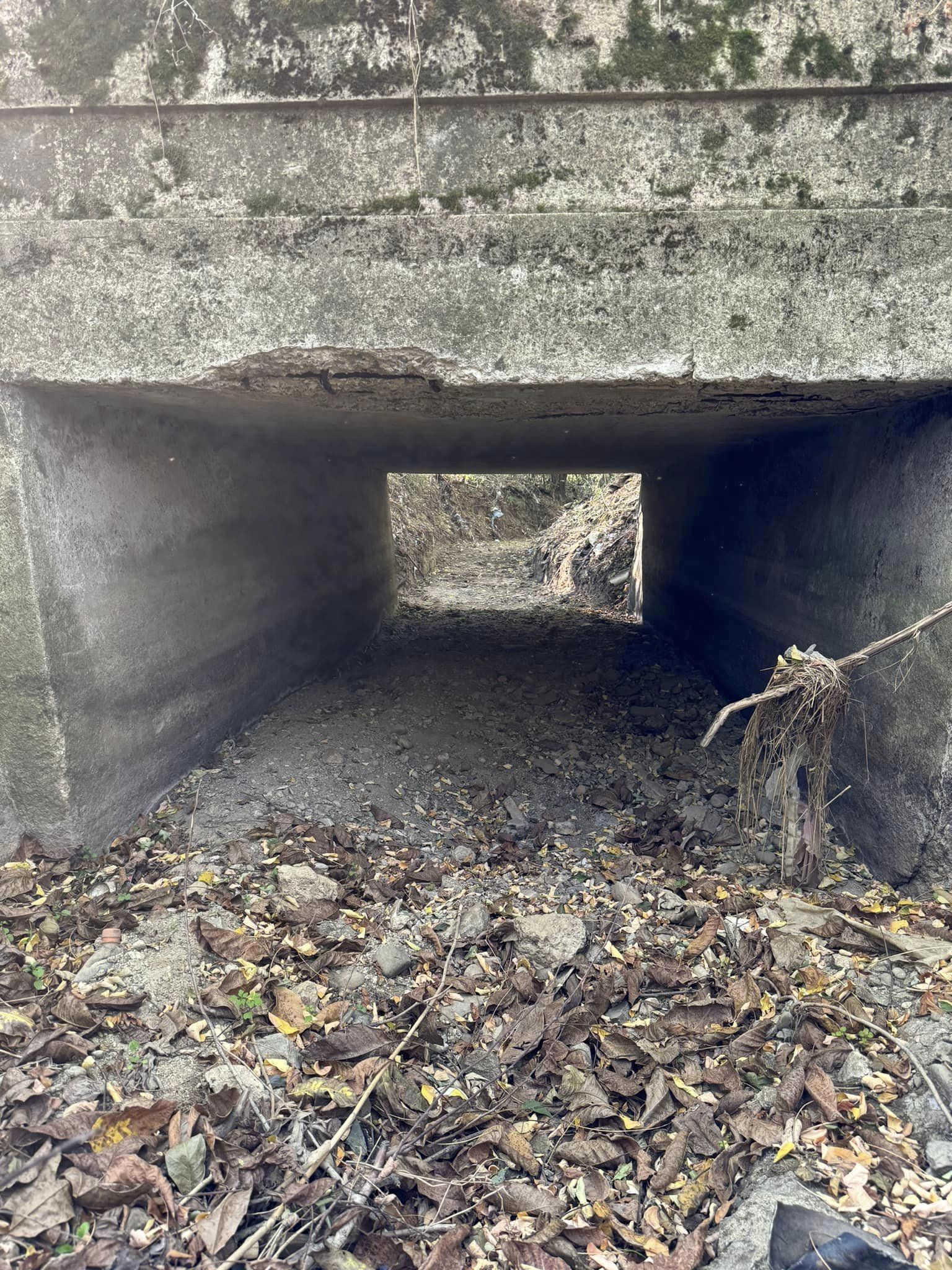 Toate vâlcelele din comuna Răzvad, au intrat într-un amplu proces de igienizare