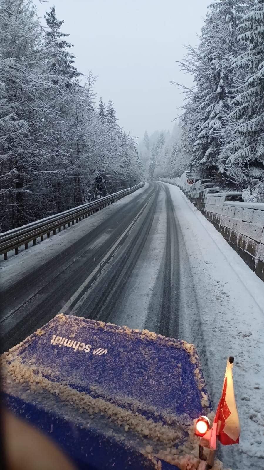 Ninsorile și vântul puternic au afectat 19 județe din țară: 215 copaci și 11 stâlpi de electricitate prăbușiți pe carosabil, fiind afectate 51 autoturisme.