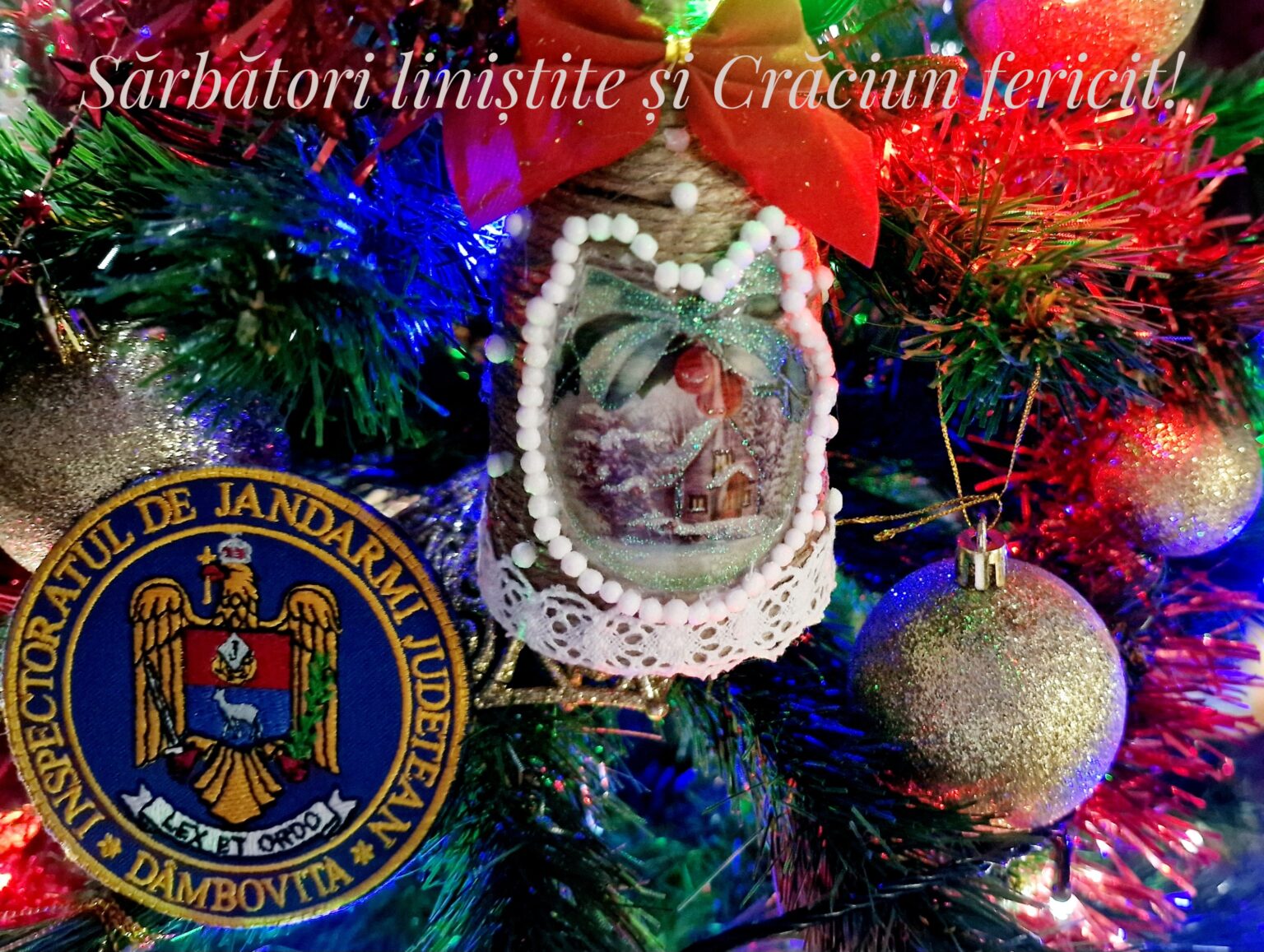 În minivacanța de Crăciun jandarmii vor acţiona zilnic pentru asigurarea climatului de ordine publică, astfel încât dâmboviţenii să petreacă sărbătorile de iarnă în linişte și siguranță. Jandarmii vor fi angrenaţi şi în misiuni de pază şi protecţie instituţională la obiectivele stabilite în responsabilitate.