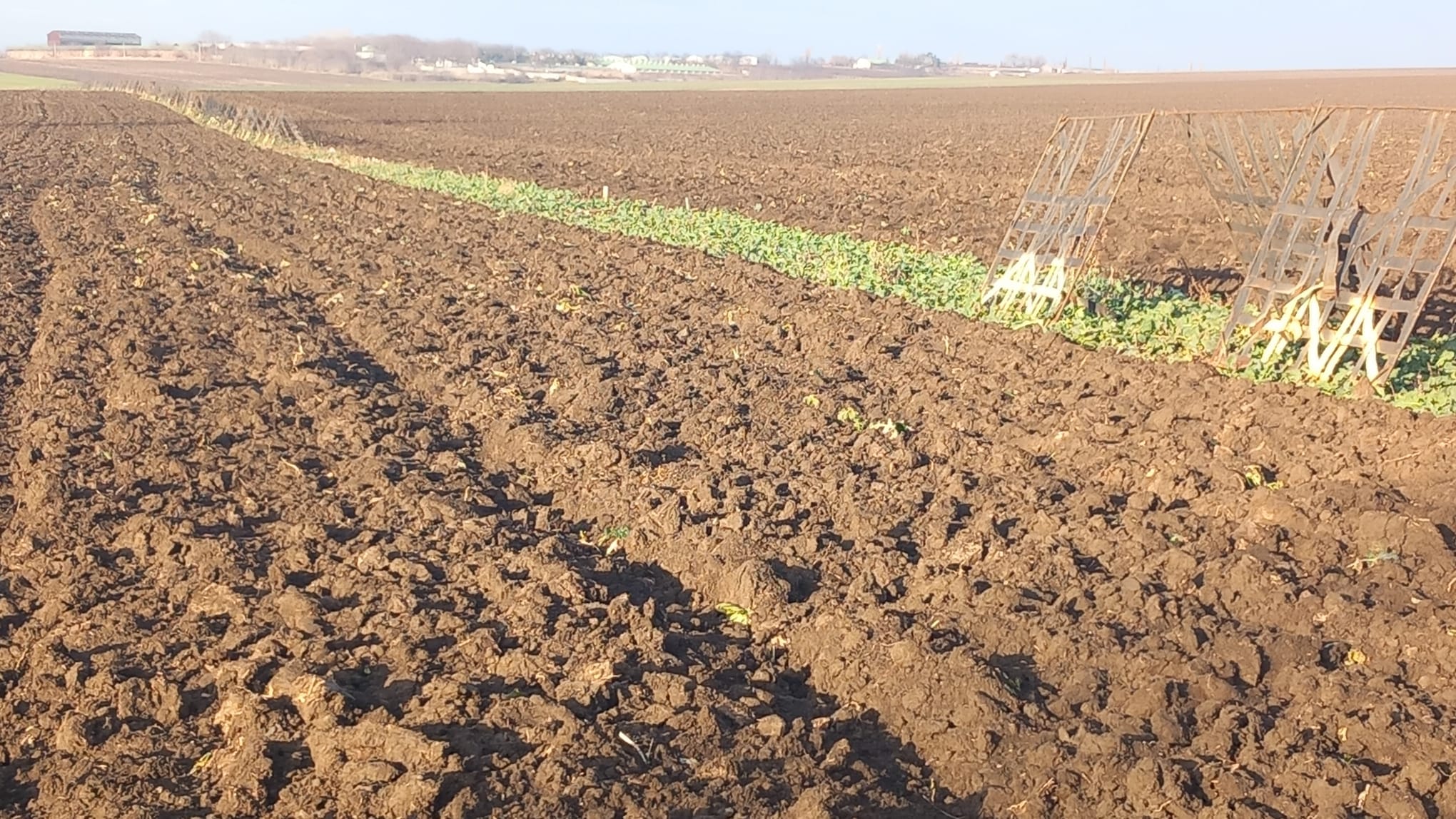 Furt de panouri parazăpezi în ultima zi a anului – Apel la colaborare pentru identificarea vinovaților