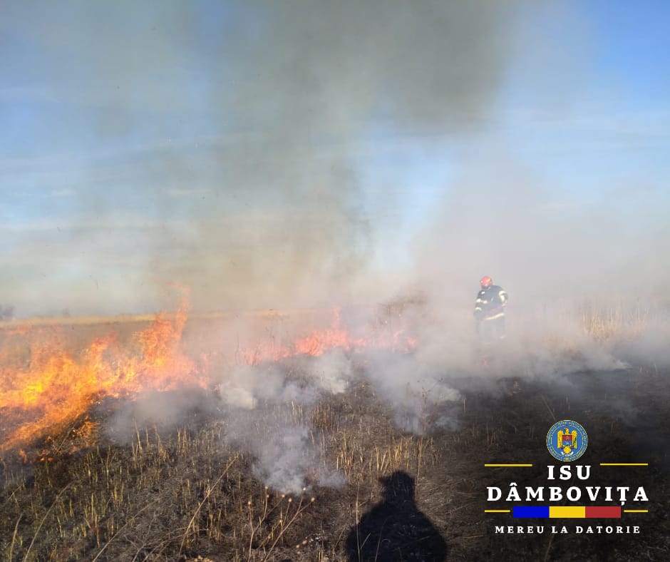 Incendiu puternic de vegetație uscată, la Ludești Incendiu puternic de vegetație uscată, la Ludești, Detașamentul de Pompieri Găești a acționat cu o autospecială de stingere cu apă și spumă. În aceste momente Incendiul este lichidat.