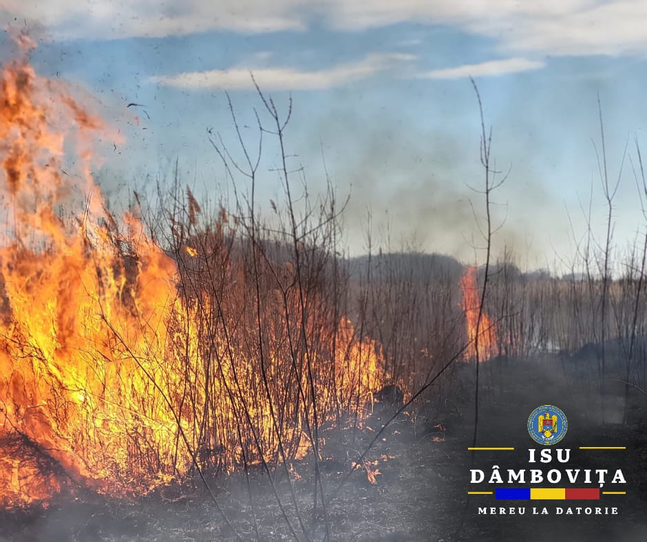 Incendiu puternic de vegetație în comuna Voinești, sat Izvoare. VIDEO Incendiu puternic de vegetație în comuna Voinești, sat Izvoare, imediat a intervenit Garda de Intervenție Voinesti cu o autospecială de stingere cu apă și spumă.