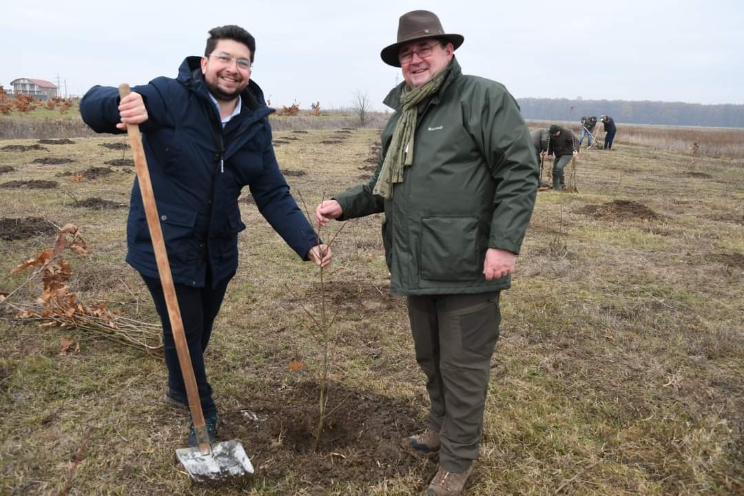 Primăria Răcari a organizat o nouă acțiune de plantare stejari intitulată "Plantăm speranța în Pădurea Parașutiștilor".