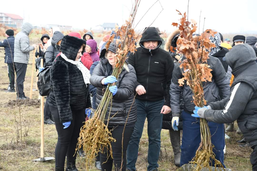 Primăria Răcari a organizat o nouă acțiune de plantare stejari intitulată "Plantăm speranța în Pădurea Parașutiștilor".