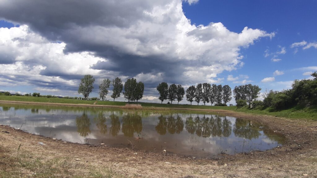 Primăria Târgoviște: Realizarea unei grădini publice și amenajarea lacului Priseaca, o investiție ce va începe în 2024 