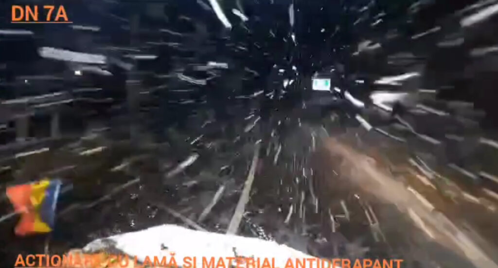 Ninge abundent pe DN 7A. VIDEO