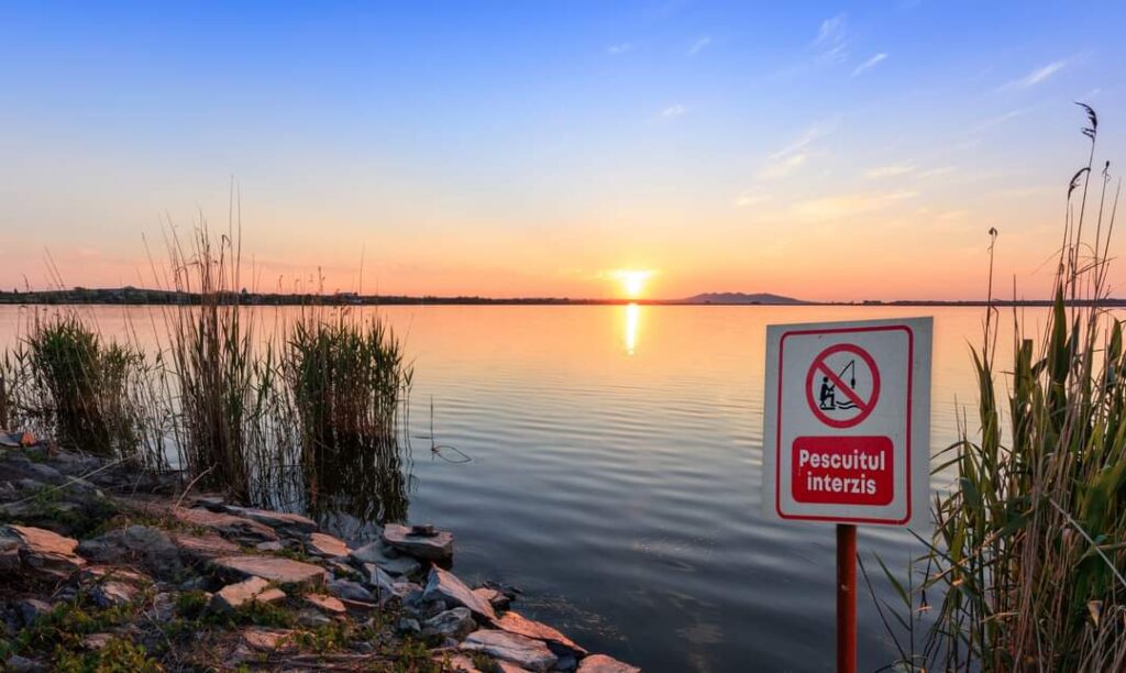 Sezonul de pescuit și perioada de prohibiție în 2024, ieri, a fost publicat Ordinul nr. 561/2023/11/2024 privind stabilirea perioadelor