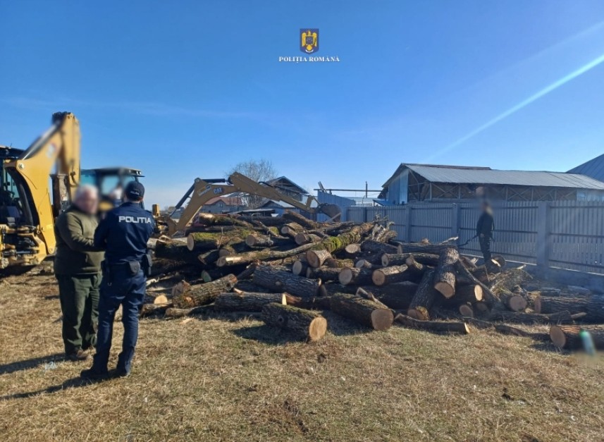 Dosar penal pentru tăierea fără drept de arbori din fondul forestier național și furt de arbor