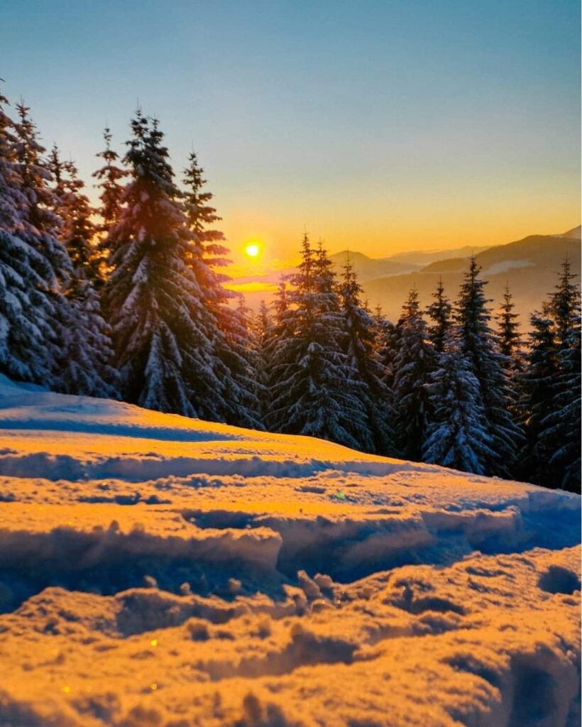 Februarie este a doua lună a anului în calendarul Gregorian. Este cea mai scurtă lună gregoriană, care are numai 28 sau 29 de zile.