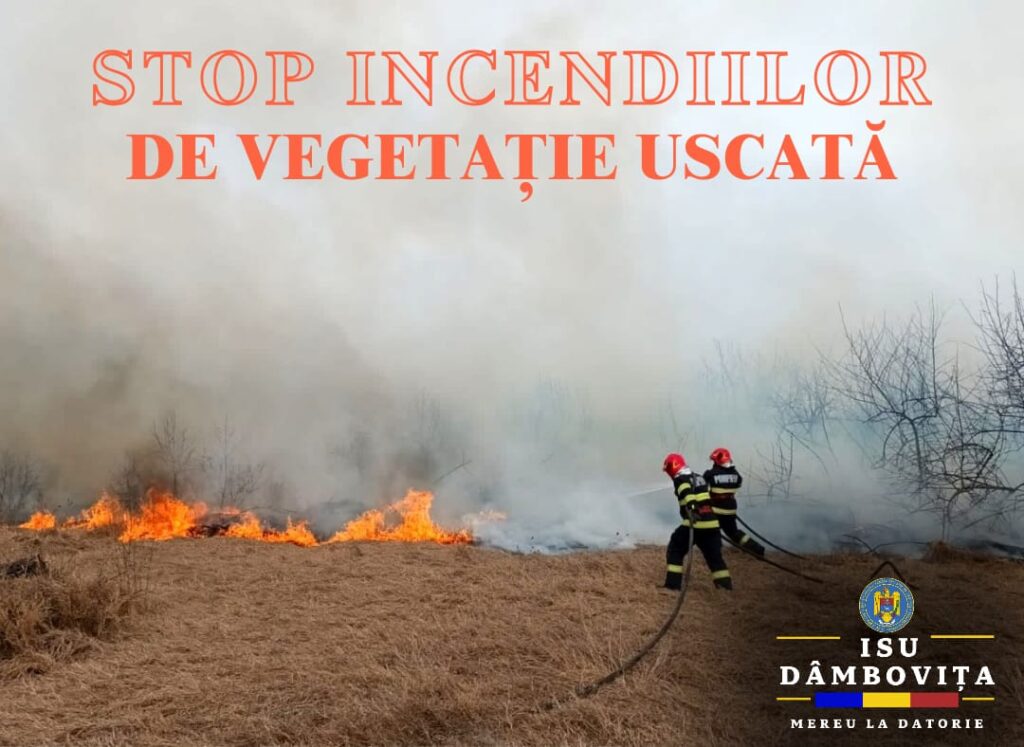 Incendii de vegetaţie la Dragomirești și Voia, astăzi, în jurul orei 11:56, pompierii au fost solicitați să intervină în cazul unui incendiu de vegetație uscată în localitatea Dragomirești.