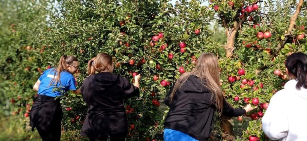 Finanțarea liceelor agricole cu profil preponderent agricol de către Ministerul Agriculturii și Dezvoltării Rurale, deja s-a publicat