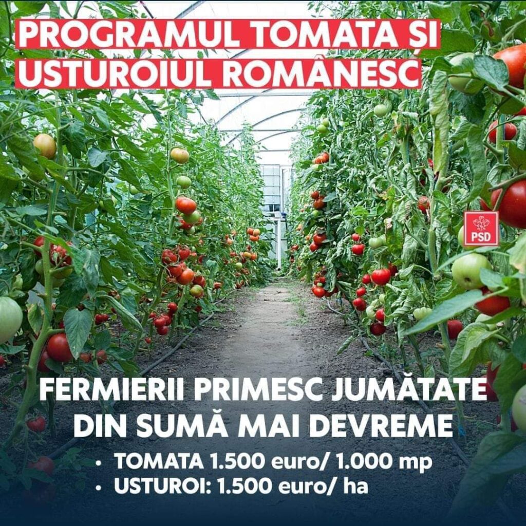 PSD anunță  ca  a fost aprobată ieri în Guvern o modificare importantă a Programului Tomata și Programului usturoiul românesc, așa cum au solicitat fermierii.