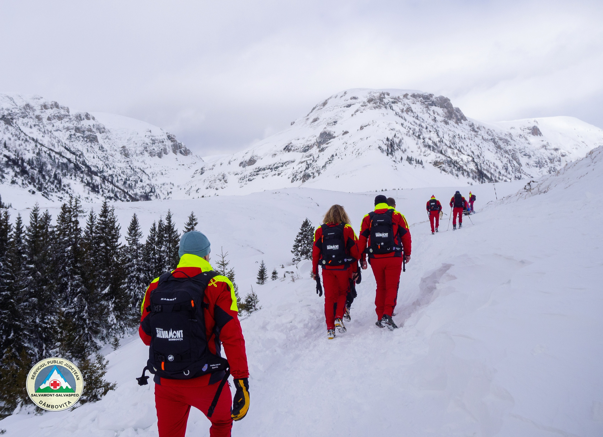 Echipa Salvamont-Salvaspeo Dâmbovița a fost alertată în seara zilei de 18 februarie 2024, în jurul orei 18:00, să intervină în sprijinul unui grup