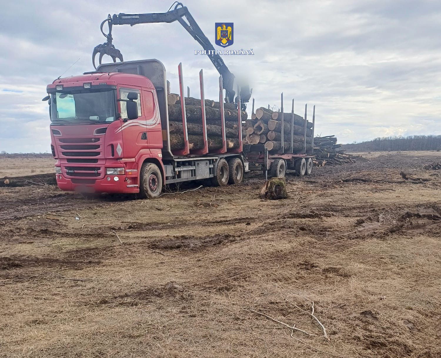 Transporta material lemnos fără avize, polițiștii din cadrul Secției nr. 4 Poliție Rurală Dragomirești au fost sesizați prin SNUAU 112