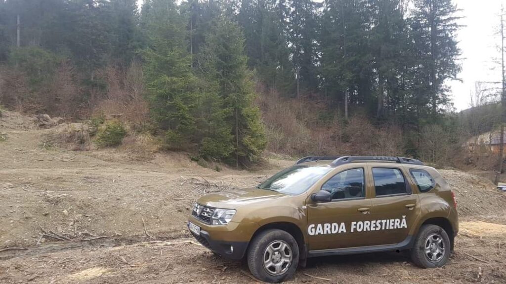 A fost adoptat noul Cod Silvic, la propunerea Ministerului Mediului, Executivul a aprobat ieri, în ședință de Guvern, proiectul de lege privind Codul Silvic. Acesta a fost elaborat prin PNRR.