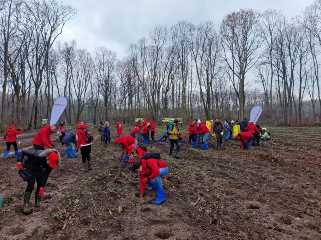 Până în acest moment, în campania de împăduriri de primăvară, Romsilva a reușit să planteze deja  3,2 milioane de puieți