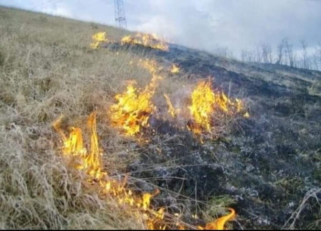 Garda de Mediu Dâmbovița este cu ochii pe cei care dau foc vegetației uscate, se dau amenzi foarte mari Garda de Mediu Dâmbovița este cu ochii pe cei dau foc vegetației uscate , în această perioadă a anului multe persoane fizice
