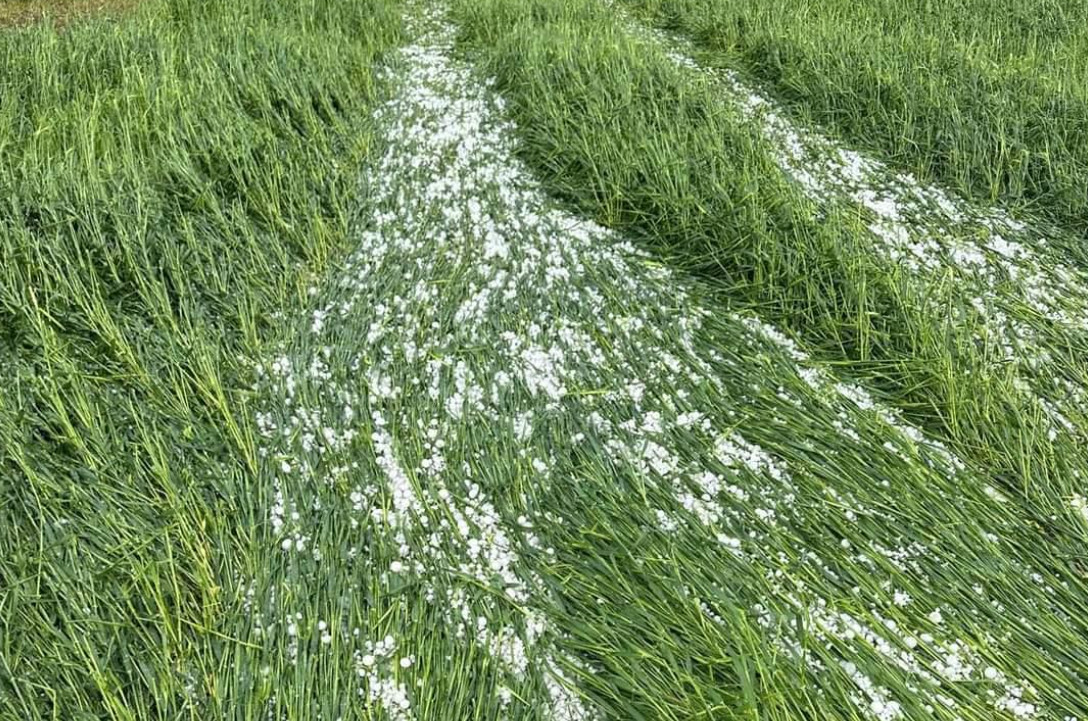 Ploi, vijelii și grindină, nu vă lăsați umbrelele acasă: mare parte din țară va avea parte de ploi abundente, iar izolat sunt posibile furtuni însoțite de descărcări electrice.