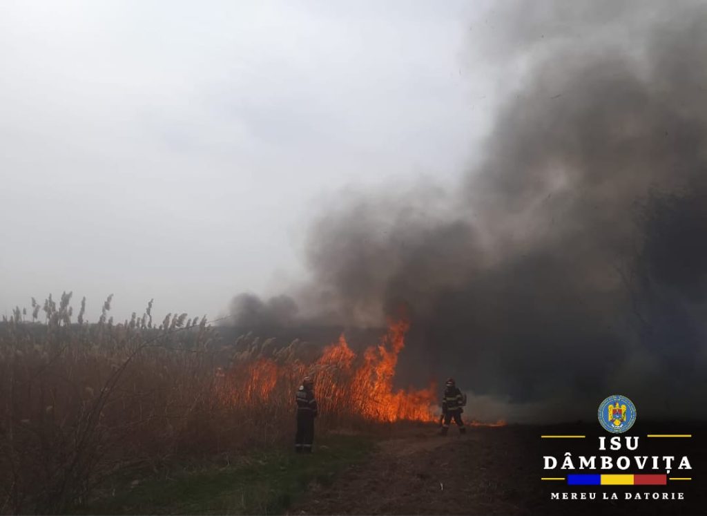 OPRIȚI INCENDIILE DE VEGETAȚIE! Flăcări au cuprins 15 hectare vegetație uscată la Tătărani 
