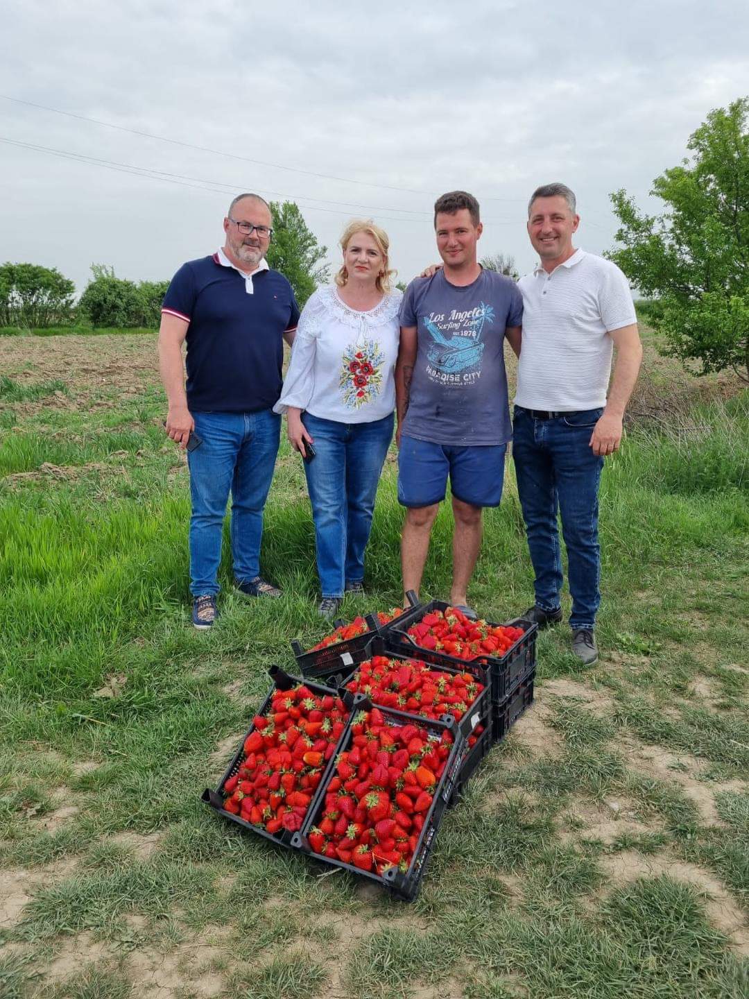 Cele mai moderne plantații de căpșuni sunt la Tărtășești, Marius și Ionuț sunt oameni care redau încrederea în produsele românești