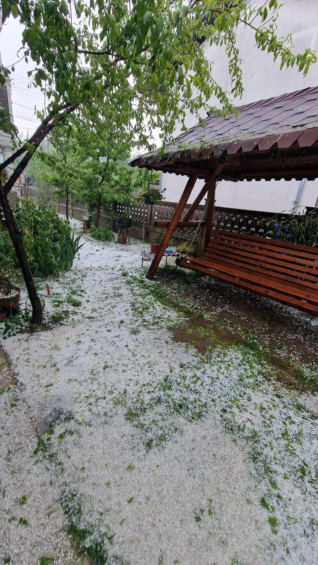 URGIA NATURII: Grindina a făcut prăpăd pe Valea Dâmboviței, la Pietrari livezile cu meri au fost distruse  în această după-amiază,  când natura s-a dezlănțuit.