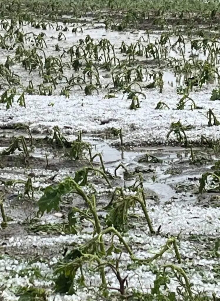 INFORMARE METEOROLOGICĂ pentru județul Dâmbovița, valabilă  până  astăzi, 30 mai, ora 20:00.