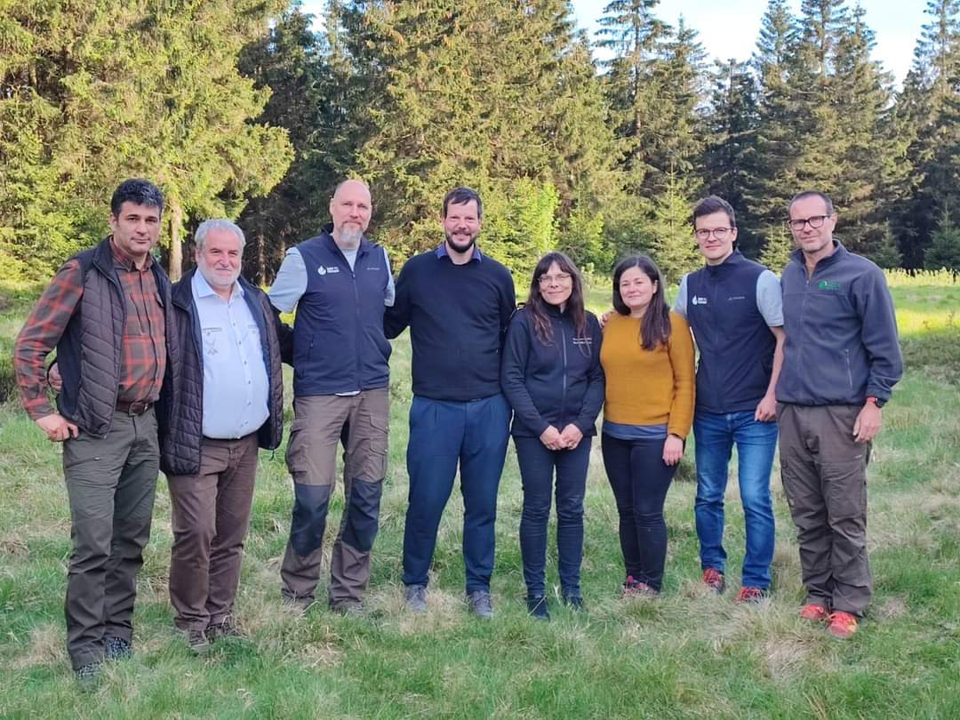 Vedeta din România, Viorel - primul râs transferat în Germania pentru refacerea genetică a acestei specii