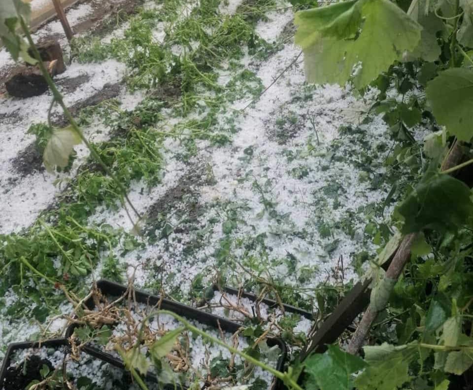 Meteorologii atrag atenția: Temperaturi ridicate urmate de furtuni puternice  Meteorologii atrag atenția: Temperaturi ridicate urmate de furtuni puternice. Vremea a fost neobișnuit